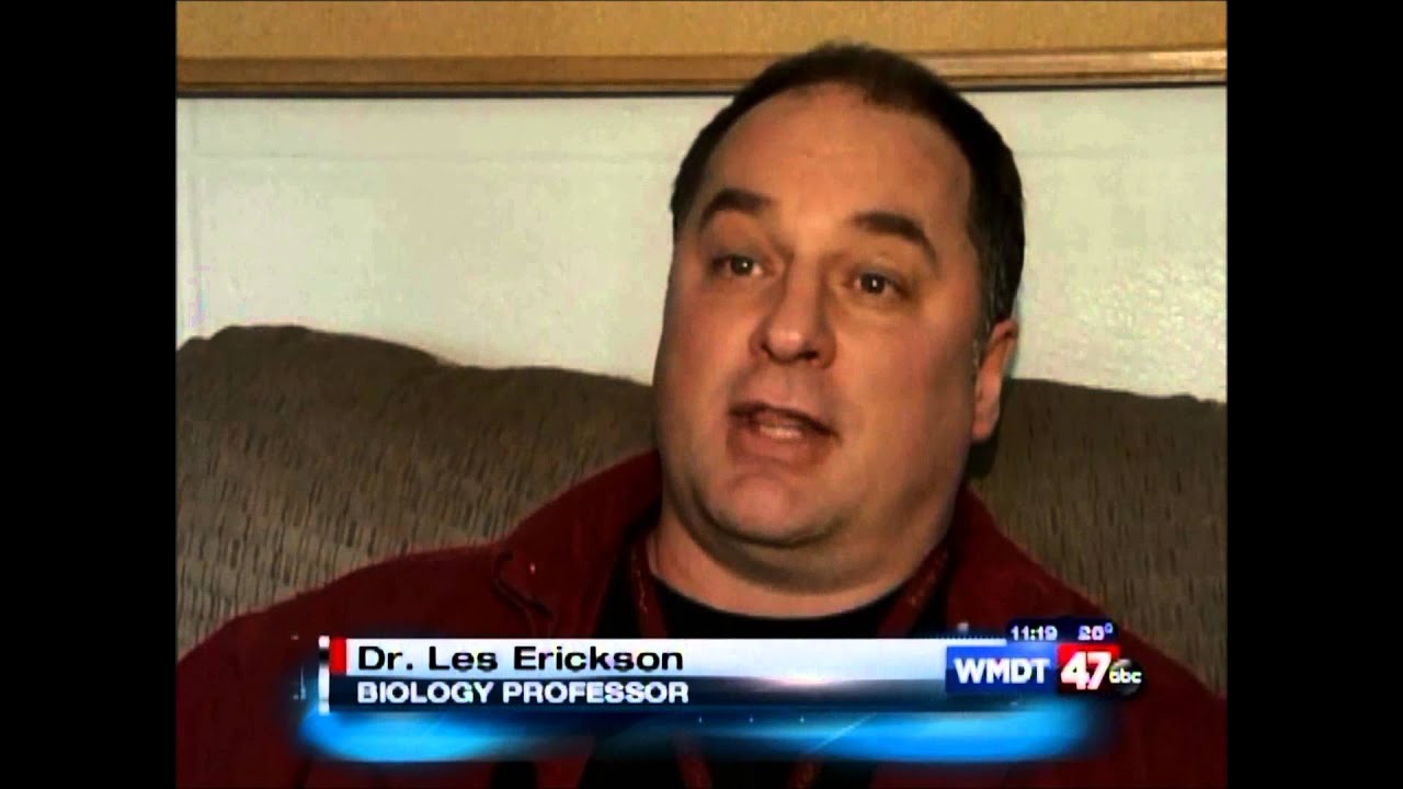 GMO Labeling - Is it necessary?