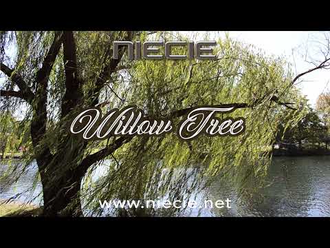 Watch Niecie - "Willow Tree" {Official Music Video} on YouTube Watch Niecie - "Willow Tree" {Official Music Video} on YouTube