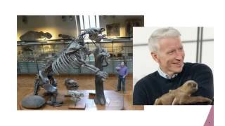 An Introduction to Evolution