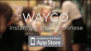 Restaurant Disaster - Waygo Translator