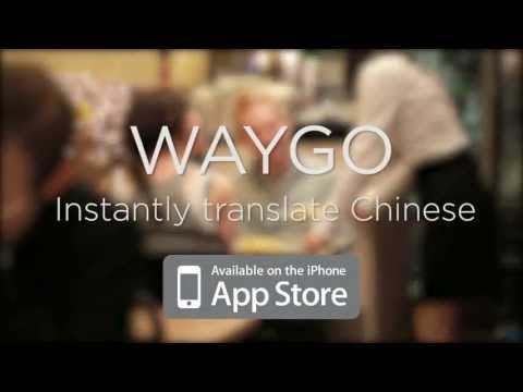 Restaurant Disaster - Waygo Translator