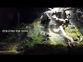 The first drop that creates the headwaters【terrarium】