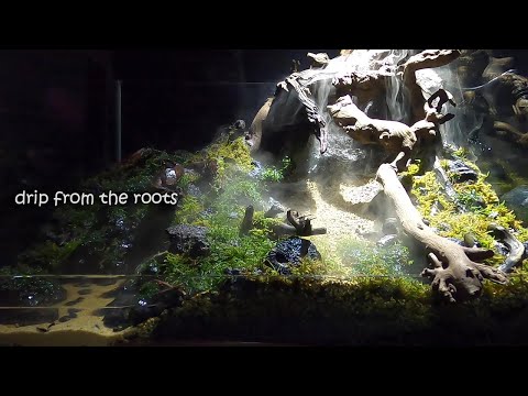 源流を作る最初のひとしずく【テラリウム】