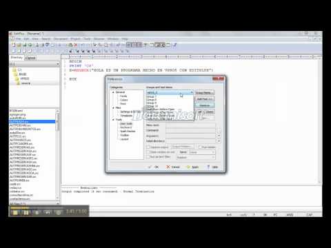 EDITPLUS Y VPRO5 II
