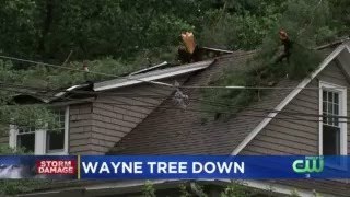 Fast Moving Storm Downs Trees In Delaware County