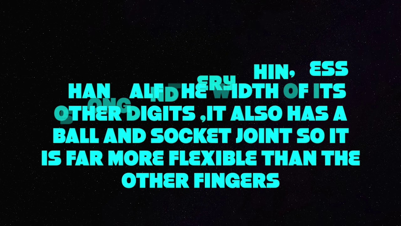 Aye aye's middle finger function and structure