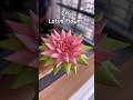 DIY Easy Lotus Flower 🪷✨#shorts #art #diy #muktaartandcraft #viralvideo #youtubeshortsfeature