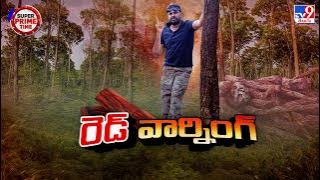 ఏపీ డిప్యూటీ సీఎం పవన్ కల్యాణ్ రెడ్ వార్నింగ్ - TV9