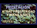 🍀Meditación para ATRAER la PROSPERIDAD Y buena SUERTE✨