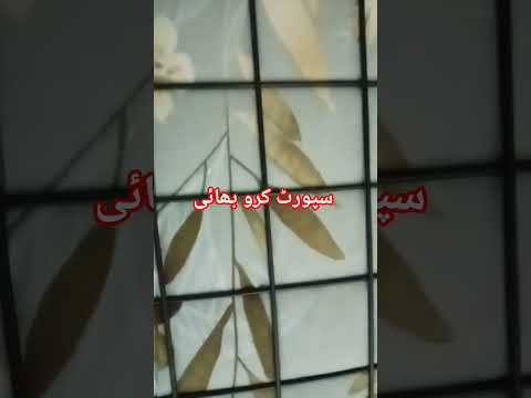 سپورٹ بھائی جان