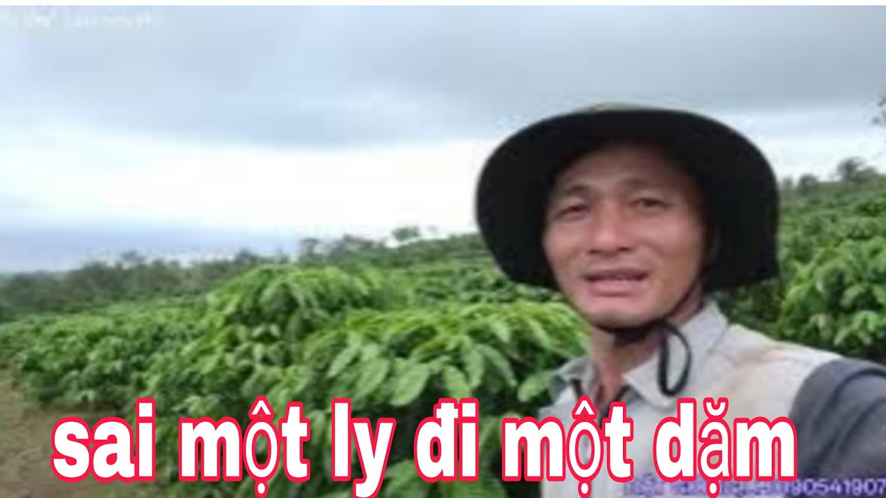 Đi phân Sai thời điểm,ảnh hưởng thời tiết, không khắc phục ,hậu quả là ra hoa không mong muốn 