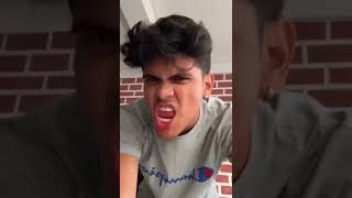 Apareceu Um Rato Na Minha Casa