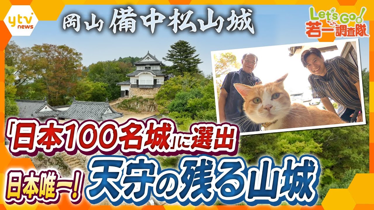 【若一調査隊】城主は猫！現存12天守の中で唯一の山城『備中松山城』急峻な岩盤上に築かれた圧倒的存在感を放つ石垣に、町を一望できる圧巻の眺望　国の重要文化財にも指定されている山城の魅力と歴史を徹底調査！
