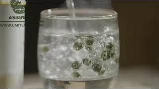 Famous Dragon Pearl Jasmine Green Tea Wealth
