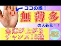 【金運アップ🤲】金運上昇のチャンス15選 徹底解説!!鑑定歴22年占い師の手相勉強会第59回。#手相