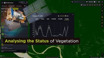 EO Browser Tutorials: Analysing the Status of Vegetation