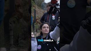 Gorilla Pod - More Than Just A Handheld Tripod