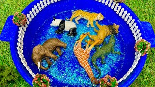 Учим Животных на английском Крокодил Лев Тигр Панда Слон Мультики для Детей Английский для Детей