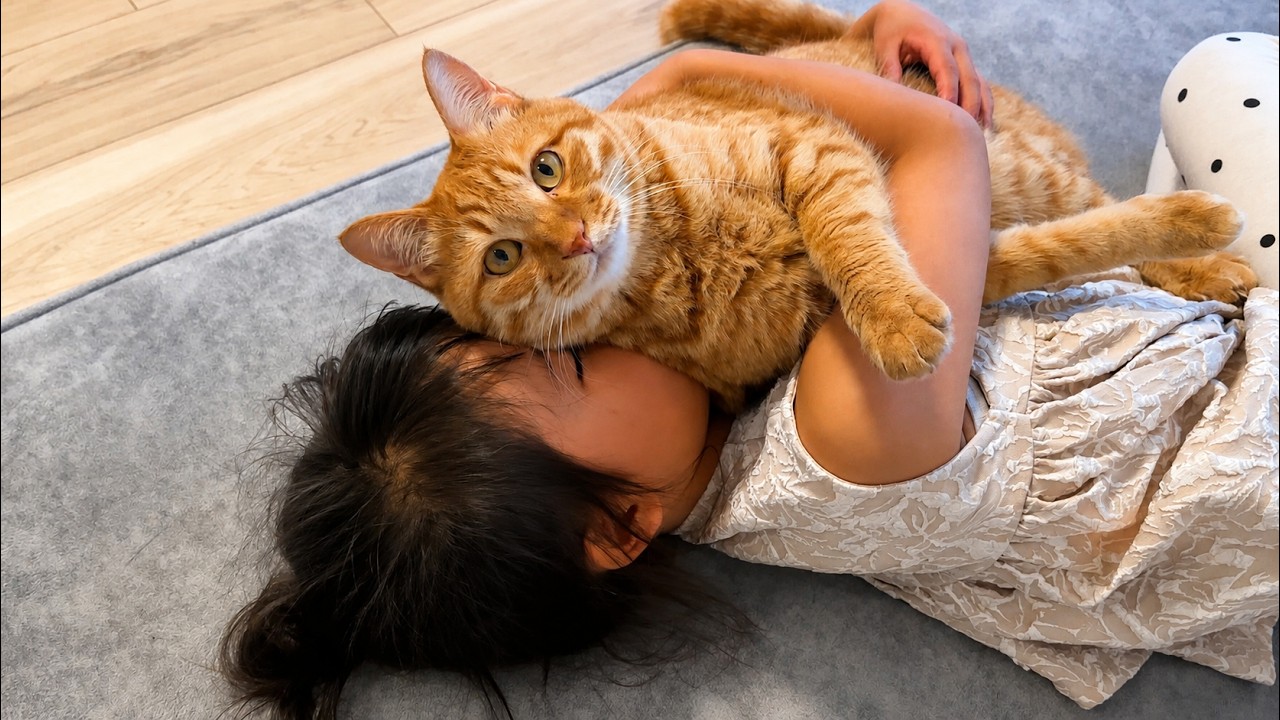小1の娘に猫吸いされた超甘えん坊の猫がまさかの行動に...