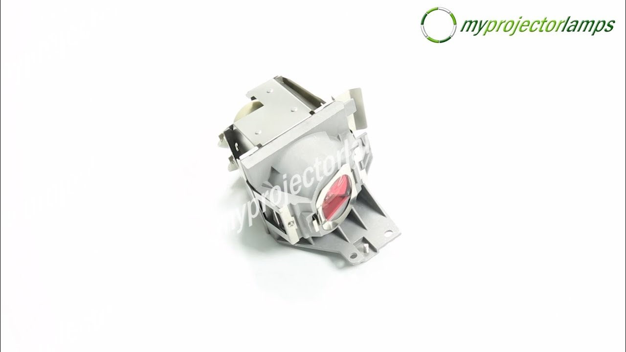 Viewsonic VS15875 Projector Lamp with 