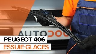 Comment remplacer des essuie-glaces avant sur une PEUGEOT 406 TUTORIEL | AUTODOC