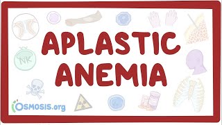 Aplastic anemia - an Osmosis Preview