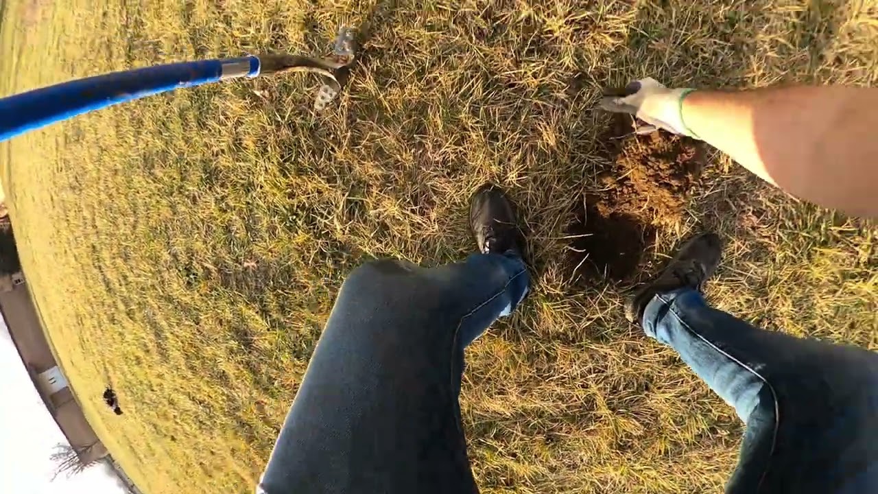 December 26, 2025 - Metal detecting the day after Christmas with my dog Vinny