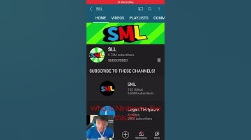 Logan actually deleted all his videos from the SuperLuigiLogan channel! For good 😭