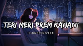 Teri Meri Prem Kahani (Slowed+Reverb) - Rahat Fateh Ali Khan, Shreya Ghoshal | VibeMix Lyrics