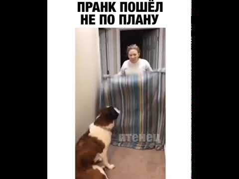 фокус пошел не поплану он разрезал