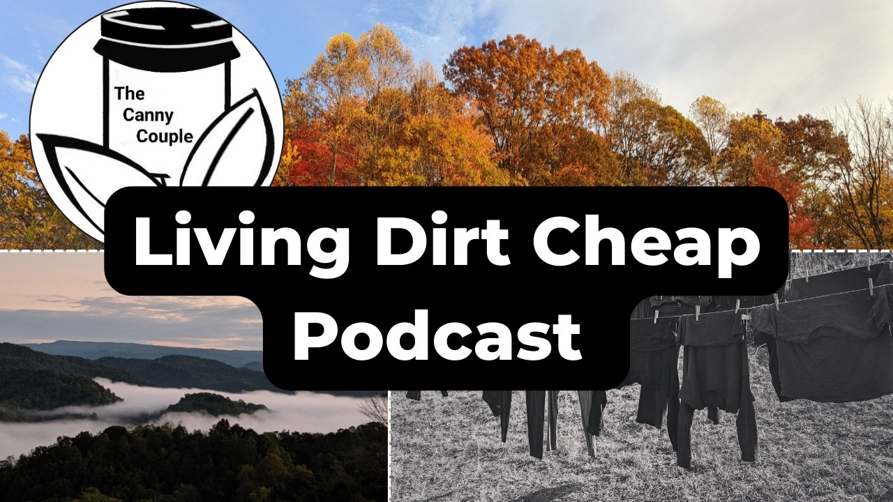 Episode 8 - Why We Almost Quit Frugality