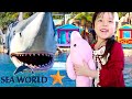 ゴールドコースト シーワールドへ行ってきたよ♪ Sea World Gold Coast Family Fun! MayuChannel
