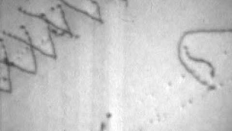 dislocation source stainless steel.avi