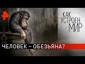 Человек – обезьяна? «Как устроен мир" с Тимофеем Баженовым (09.04.20).