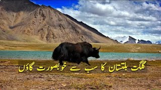 The Most beautiful village of Gilgit baltistan |Beauty of GB