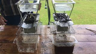 Soil Health Rainfall Simulator at Ag Awareness Day on Kauai - May 2019