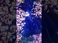 MicroDrop 01:02 #experimentalmusic #experimentalvideo #electronicmusic