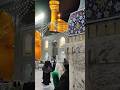 همه دل بریده ها اونا که غصه خوردن Shorts Imamreza امام رضا