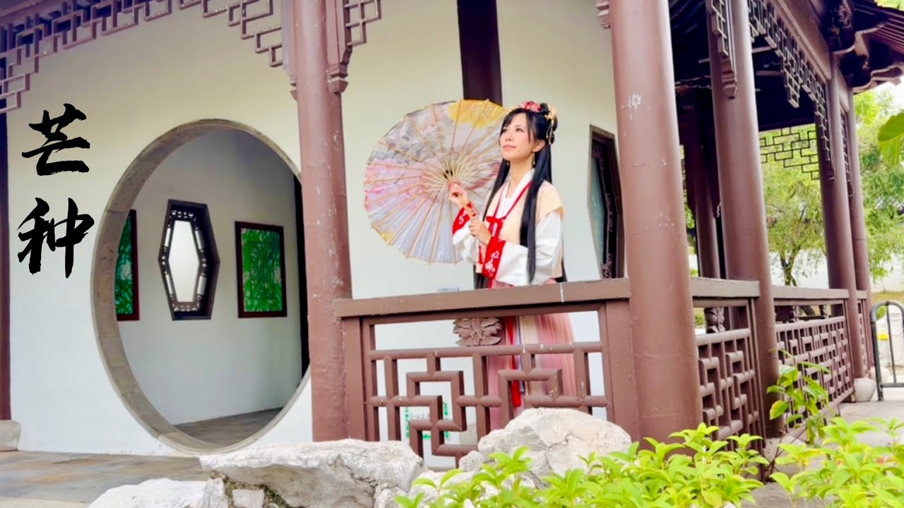 Grain in Ear🏮 [CNY Dance Cover]