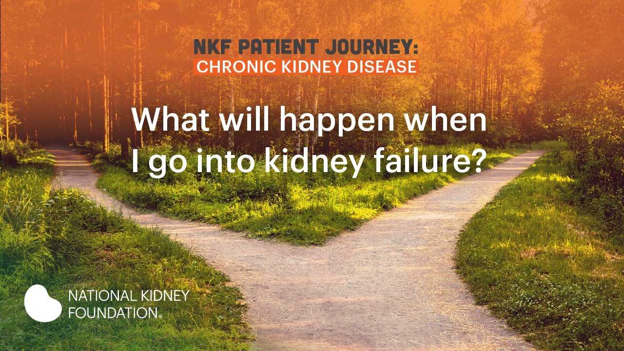 What will happen when I go into kidney failure? diabetes in dogs