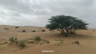 Rajasthan Jaisalmer desert visit