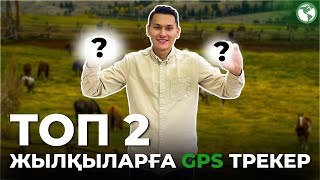 ЖЫЛҚЫ-МАЛДАРҒА АРНАЛҒАН ЕКІ МЫҚТЫ GPS ТРЕКЕРЛЕР