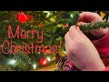 Video Christmas Card From How To Alaska
