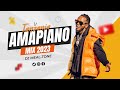 TANZANIA AMAPIANO VIDEO MIX🔥 (EPISODE 1) - DJ MEAL-TONE FT DIAMOND PLATNUMZ, MARIOO, HARMONIZE, ETC