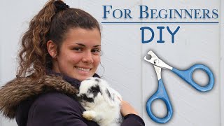 Tutorial on Clipping Bunnies Nails