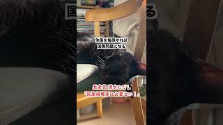 【怒り】共産党 清水ただし「国旗損壊罪は必要ありません!」