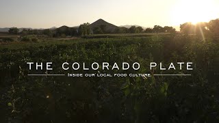 The Colorado Plate Full Trailer