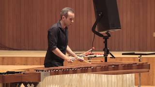 Video thumbnail of "Piazzolla - Libertango - Simone Rubino, marimba"
