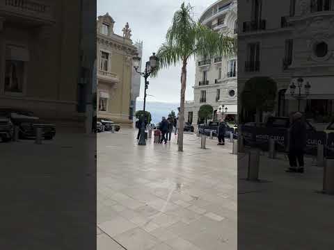 Platinum Private Blackjack 12 | Cuestiones y Contrapunto 14-08-24 Monserrat Neme, Apuestas ONLINE- Gustavo Saraceni, ECONOMISTA