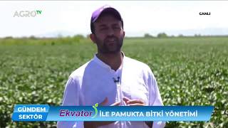 Ekvator Ile Pamukta Bitki Yönetimi Online Tarla Günü - Agro Tv